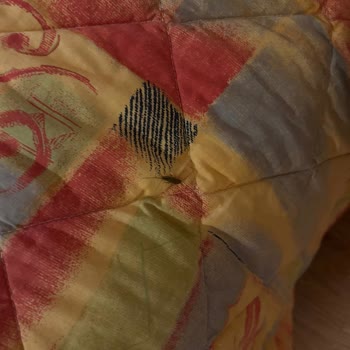 Jolly Tur Oteller De Böcek Şikayetine