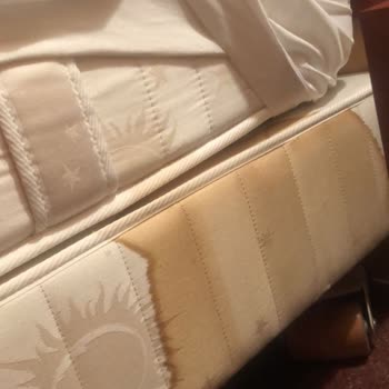 Jolly Tur Oteller De Böcek Şikayetine