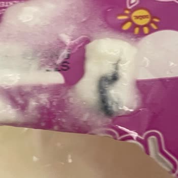Migros Yoğurt İçerisinden Çıkan Cisim.