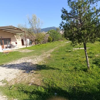 Jolly Tur Konum, Yanıltıcı Bilgi Ve Konsept