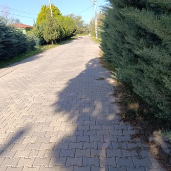 Jolly Tur Konum, Yanıltıcı Bilgi Ve Konsept