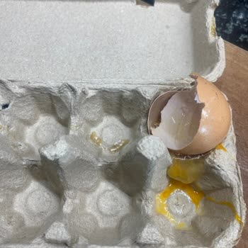 Tire Organik Gıda Ürünleri Yumurtaların Yanlış Paketlenmesi