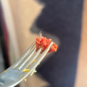 Köfteci Yusuf Sucuğundan Bilinmeyen Cisim