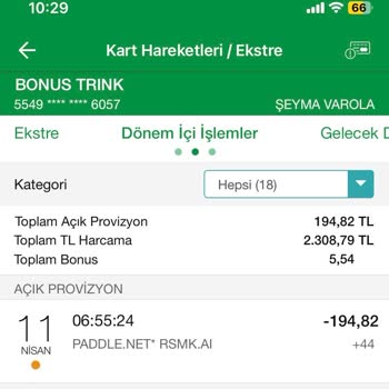 Paddle Net Haksız Ödeme Çekilmesi