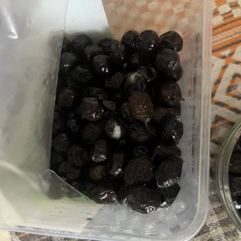 Tukaş Küflü Zeytinler