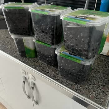 Tukaş Küflü Zeytinler