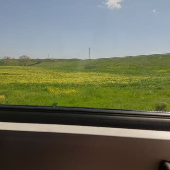 TCDD Şikayet Tren Seferi