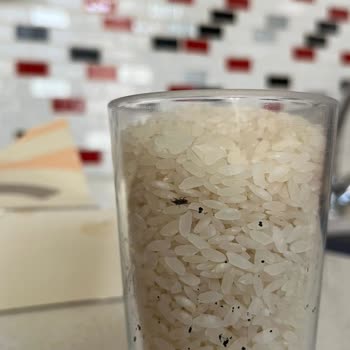 Getir Ve Duru Marka Bakliyat İçinden Böcek Çıktı