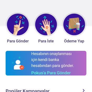 Pokus Hizmetlerinde Yaşanan Sorunlar Ve Müşteri Mağduriyeti
