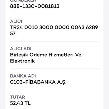 Pokus Hizmetlerinde Yaşanan Sorunlar Ve Müşteri Mağduriyeti