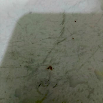 Belenco Mutfak Tezgahı Garanti Sorunu