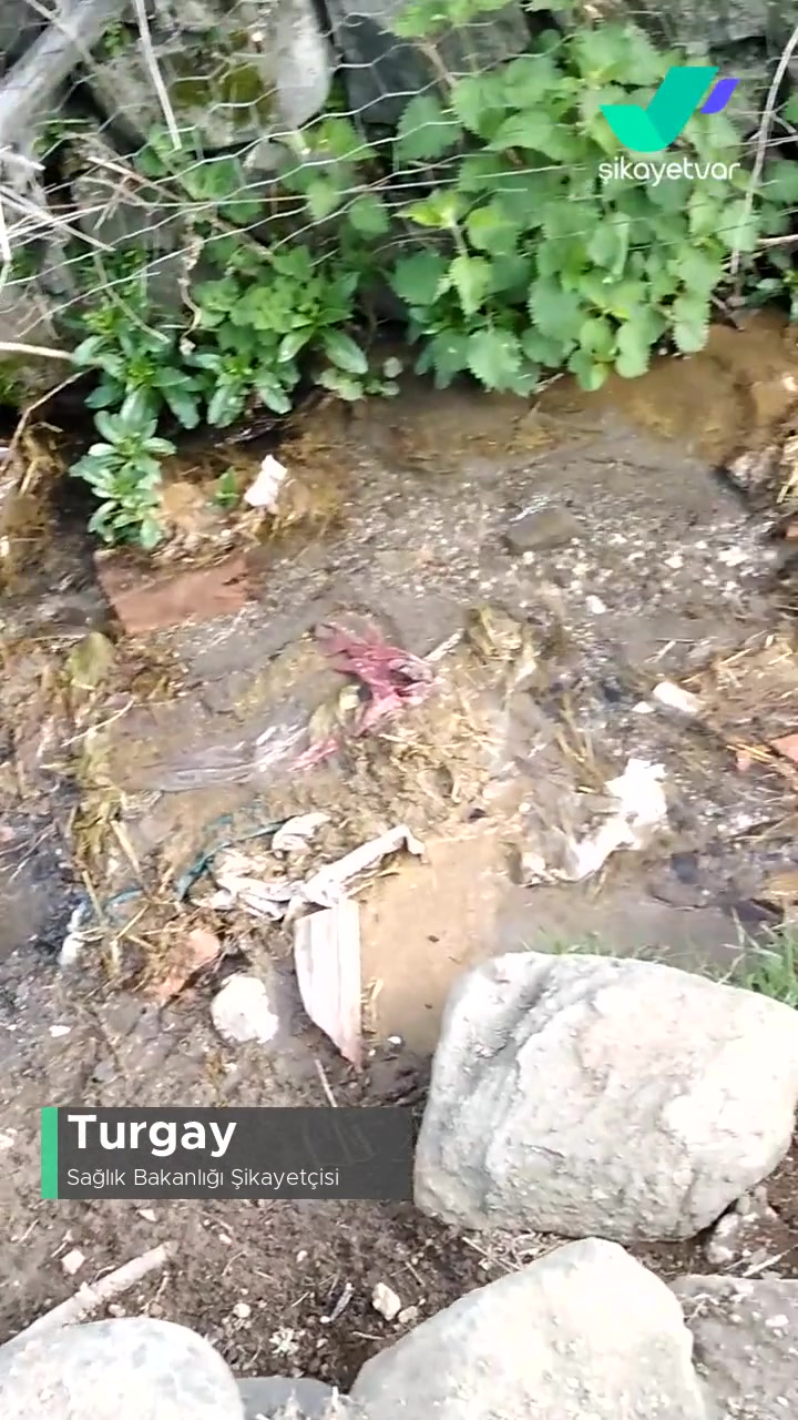 Sağlık Bakanlığı Sorun İnsan Sağlığı videonun kapak resmi