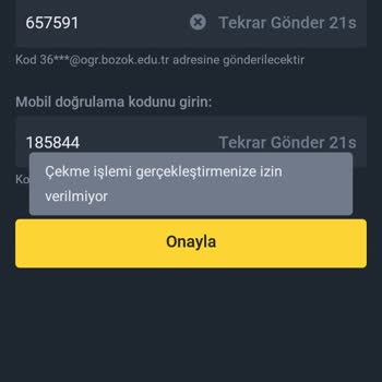 Binance TR De Paramı Çekemiyorum