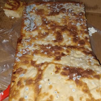 Sini Börek Küflü Börek Satılıyor