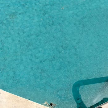 Tatil Sepeti Palmira Beach Hotel Kuşadası