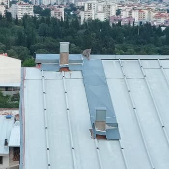 İzmir Belediyesi Ve İtfaiyesi Yardıma Muhtaç Kediye Olan Sorumsuzluk