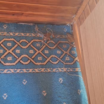 Üsküdar Belediyesi Mescit Çok Pisti