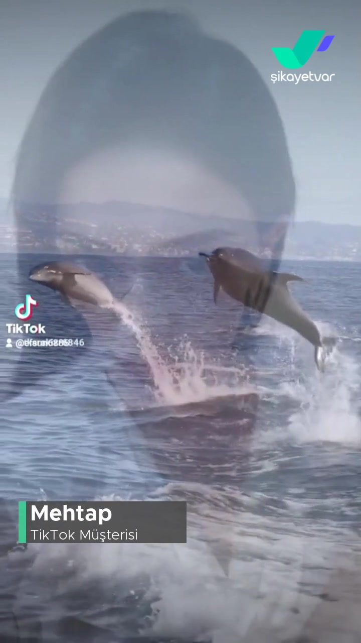 TikTok Hesabım Çalındı videonun kapak resmi