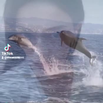 TikTok Hesabım Çalındı