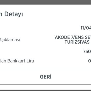 Ems Seyahat Turizm Doğum Tarihi Değişimine Ücret