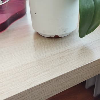 ÇiçekSepeti Çiçek Sepetinin Duyarsızlığı