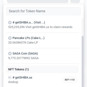 PancakeSwap Şikayet Coin Yatırımlarının İadesi