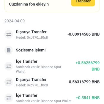 PancakeSwap Şikayet Coin Yatırımlarının İadesi