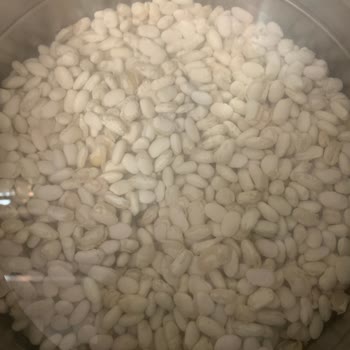 Hasata Derinkuyu Fasulyesi Bayat Çıktı