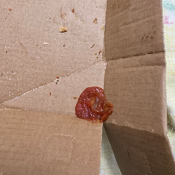 Domino's Pizza Yiyecek İçerisindeki Taban Sosu Ekşiliği