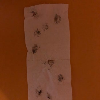 Kamil Koç Şehir İçi Servis Şikayet