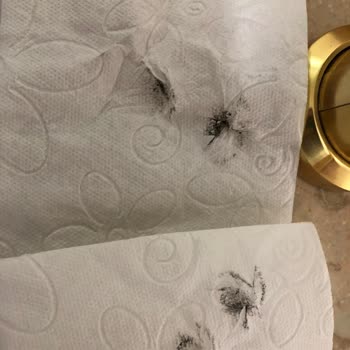 Kamil Koç Şehir İçi Servis Şikayet