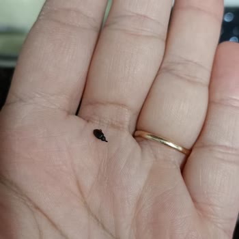 Knorr Marka Hazır Çorba