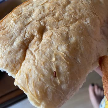 Aksomun Pastanesi Taze Ekmeğin İçinden Böcek Çıktı