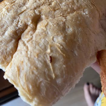 Aksomun Pastanesi Taze Ekmeğin İçinden Böcek Çıktı