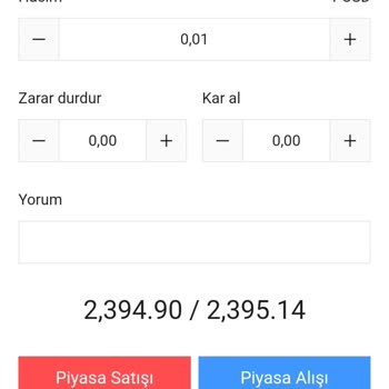 Pays Capital Sistemi Hakkında Yaşadığım Sorunlar