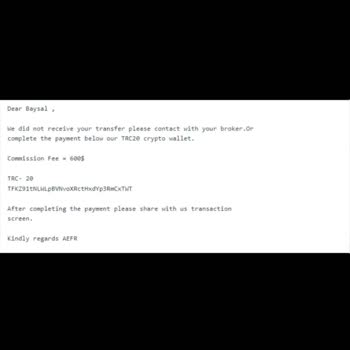 Pays Capital Tam Bir Kara Dipsiz Çukur