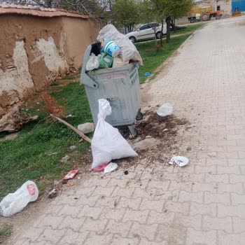 Altınekin Belediyesi Altınekin Sarnıç Köyünde Alınmayan Çöpler