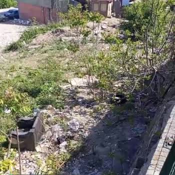 Sultanbeyli Belediyesi Çevre Temizliği Ve Düzenlemesi Lazım!