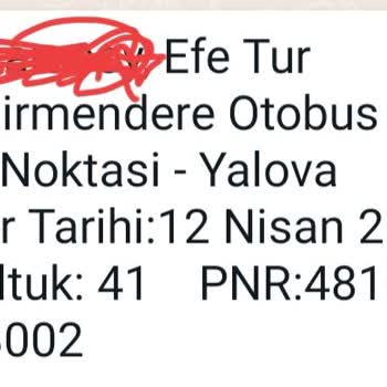 Efetur Otobüs Gel Geldiği İçin Diğer Otobüsümü Kaçırdım