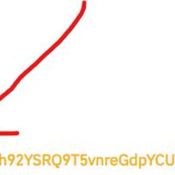 Binance TR Yatırım Adres Yanlış Kopyalama Koyması