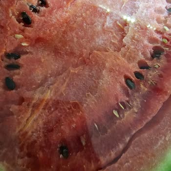 Getir Çürük Meyvelerin İadesi Yapılmadı