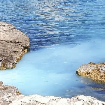 Didim Belediyesi Caydırıcı Bir Ceza Kesilsin