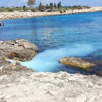 Didim Belediyesi Caydırıcı Bir Ceza Kesilsin