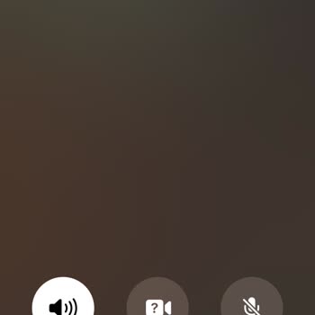 Martı Telefona Bakmayıp Fazla Para Ödeme