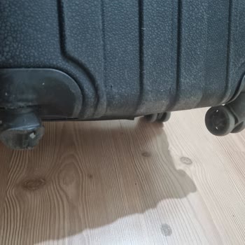 Türk Hava Yolları Bagaj Sorunu