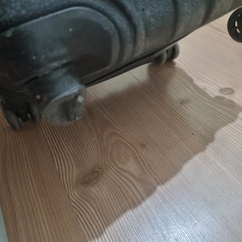 Türk Hava Yolları Bagaj Sorunu