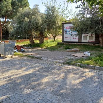 Edremit Belediyesi Çöp Kovaları Patlama Ve Enfeksiyon Riski!