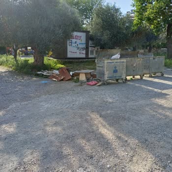 Edremit Belediyesi Çöp Kovaları Patlama Ve Enfeksiyon Riski!