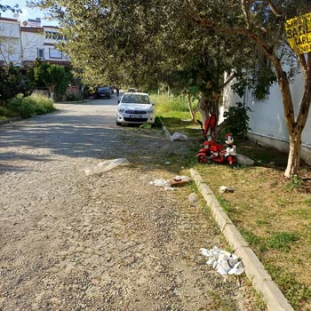 Edremit Belediyesi Çöp Kovaları Patlama Ve Enfeksiyon Riski!