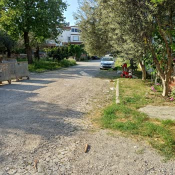 Edremit Belediyesi Çöp Kovaları Patlama Ve Enfeksiyon Riski!